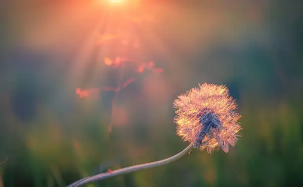 Hope