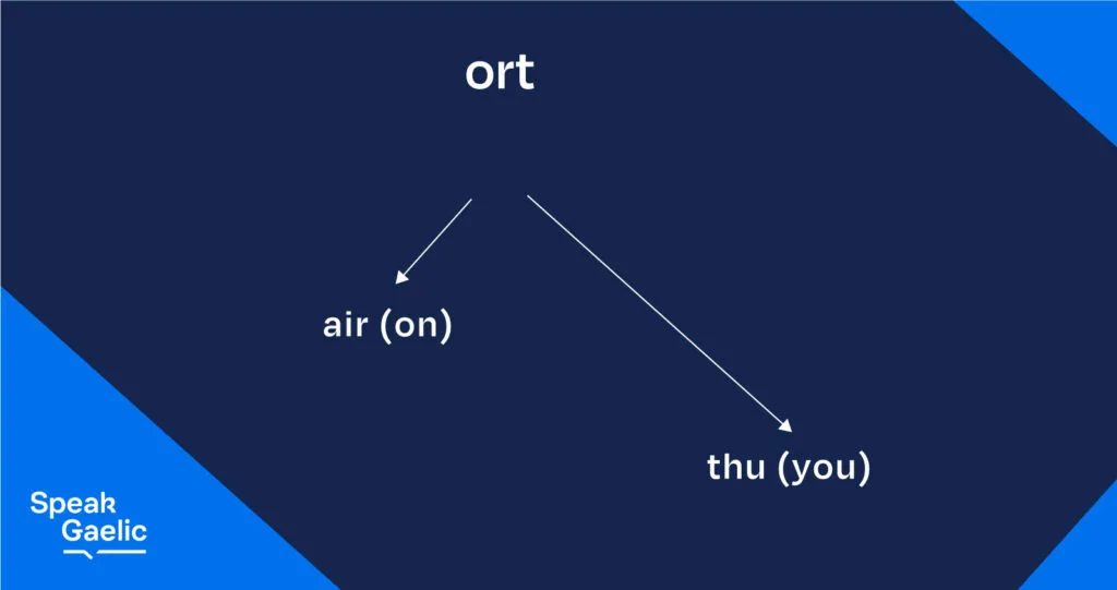 Ort